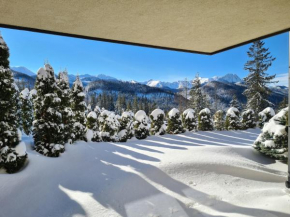 Oliwkowy, Apartament widokowy z dużym tarasem Zakopane